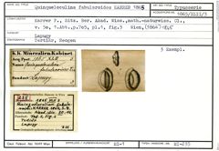 Karteikarte zum Syntyp von Quinqueloculina fabularoides Karrer, 1865